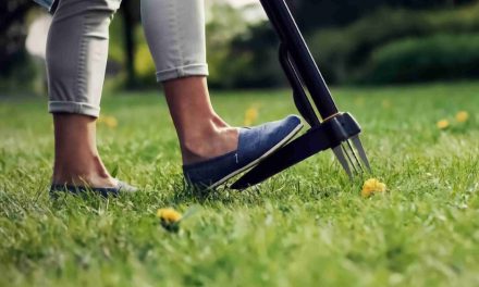 Mastering Weed Removal: A Thorough Review of the Fiskars Xact Weed Puller