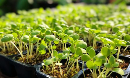 5 Fast-Growing Garden Delights: Harvest Happiness in Under a Month 🌱